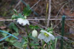 DSC07256.JPG