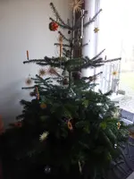 P1110524.webp