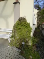 P1110540.webp