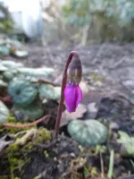 P1110562.webp