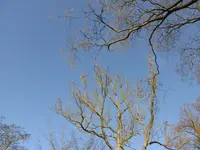 P1110563.webp