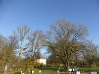 P1110564.webp