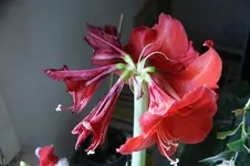 DSC07259.webp