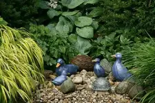 Brunnen2013.webp