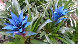 DSC_0122.webp