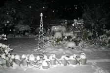 Winter A0410.webp