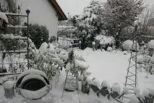 Winter A0510.webp