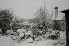 Winter A0710.webp