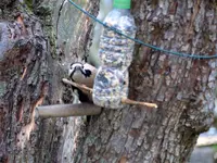 P1360420.webp
