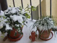 P1050130.webp