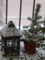 P1050132.webp