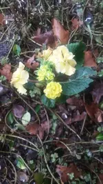 20190105_125138.jpg
