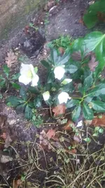 20190105_125201.webp