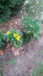 20190105_125612.webp