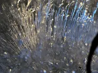 P1310287.webp