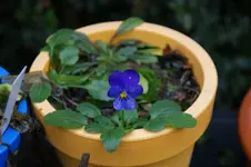 DSC07264.webp
