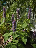 P9098032 (2).webp