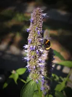 P9067992.webp