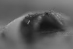 0M3A3940.JPG