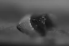 0M3A3941.webp