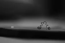 0M3A3943.webp