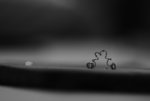 0M3A3943.JPG