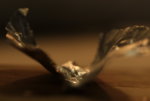 0M3A3953.JPG