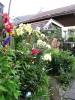 DSCI0757.webp