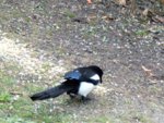 image003.jpg
