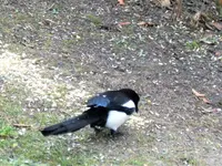 image003.webp