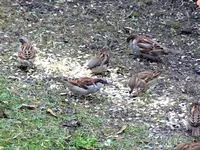 image004.webp