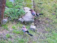 image006.webp