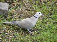 image009.webp