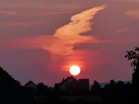 P1290007.webp