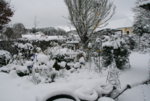 Winter7419.JPG