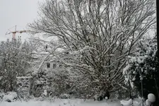 Winter8719.webp