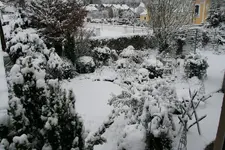 Winter6619.webp