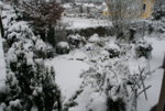 Winter6619.JPG