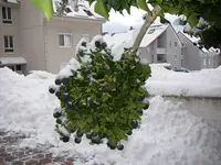 10_01_2019 (1).webp