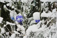 Winter8519.JPG