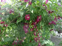 DSC03379.webp