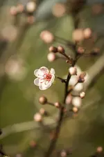 _IGP8961.webp