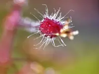 image004.webp