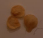 20190113_205652.jpg