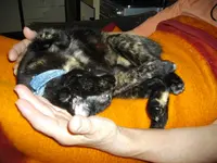 IMGP7274.webp