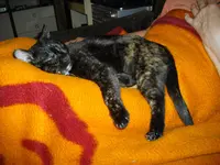IMGP7273.webp
