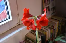DSC07272.webp