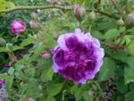 DSCN2591.JPG