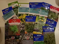 20190116_201759.webp