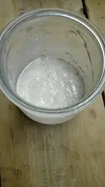 Dinkel-Sauerteig.jpg